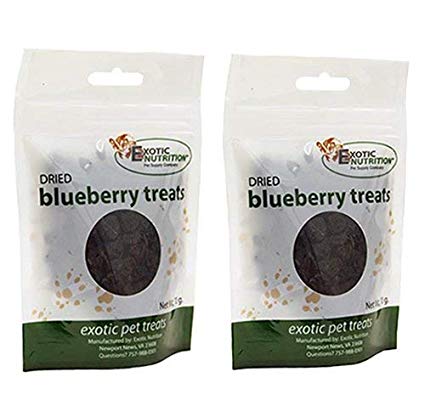 Dried Blueberry Treats