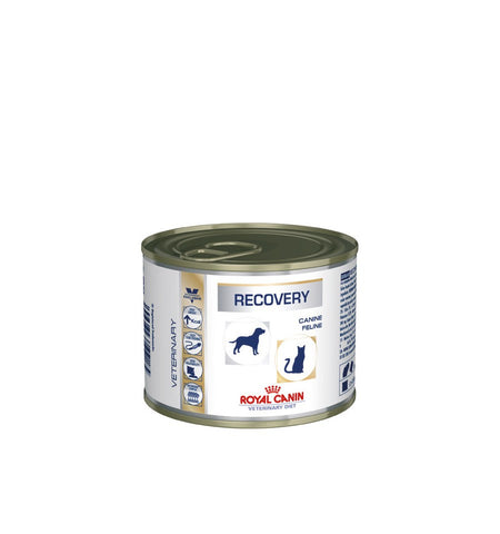WET FOOD - Recovery for Dogs/Cats (cans)