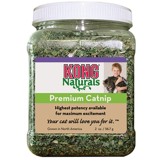 Kong Cat Premium Catnip 1oz.