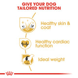 Breed Health Nutrition Golden Retriever 12 KG